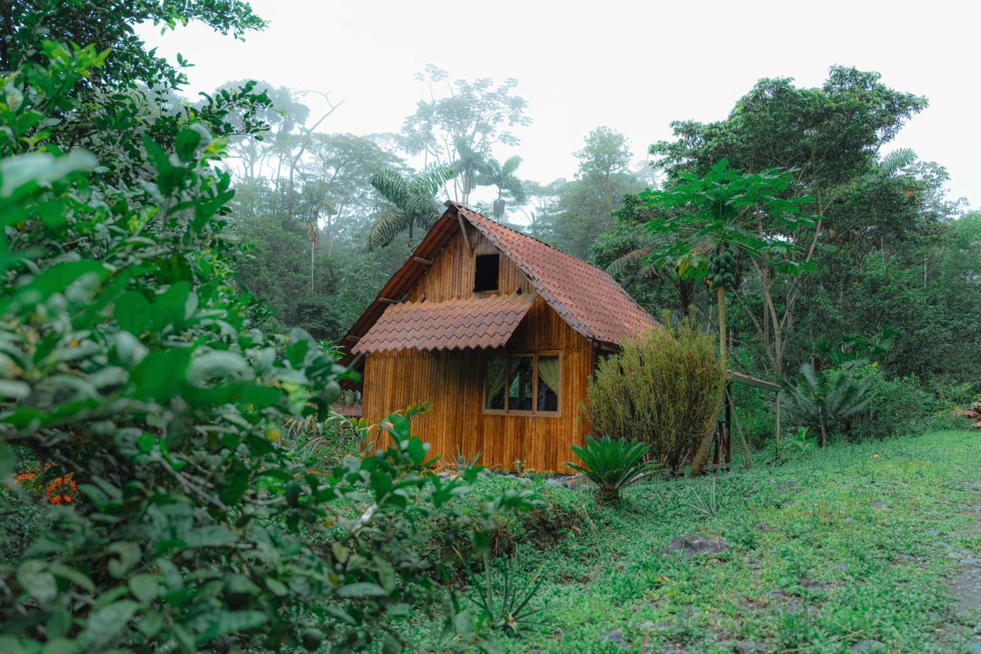 Finca Las Palmas Ecolodge Puyo Eksteriør bilde