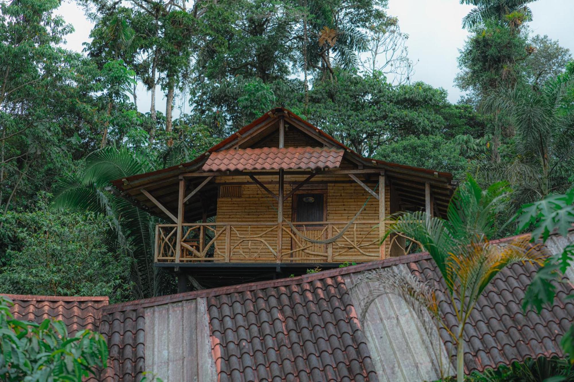 Finca Las Palmas Ecolodge Puyo Eksteriør bilde